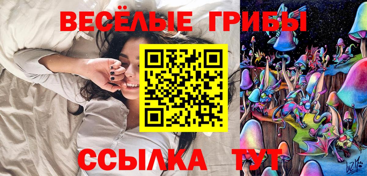 Галлюциногенные грибы Psilocybine cubensis Ртищево